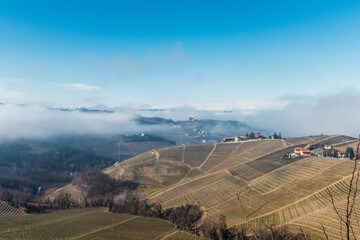 Fototapeta premium Panoramic view of hills with vineyards