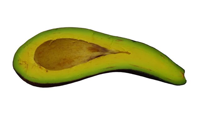 Realistic render of a rolling half Long Neck (Russell) Avocado without the pit on white background. The video is seamlessly looping, and the 3D object is scanned from a real Avocado without the pit.
