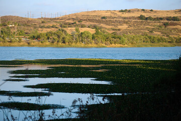 lake in the mountains
