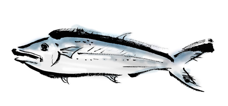 サワラ Images Browse 498 Stock Photos Vectors And Video Adobe Stock サワラ Images Browse 498 Stock Photos Vectors And Video Adobe Stock