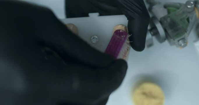 A dental technician is holding a model of a lower jaw dental prothesis and wiping it carefully with a brush, while removing dust and grease.