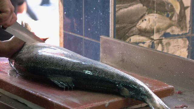 Male hands cuts off a fish head. Fisherman processing fresh fish close up. Fish industry.