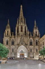 Fototapeta na wymiar Spain, Barcelona. Cathedral of the Holy Cross and Saint Eulalia at night.