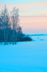Winter morning, field and forest road selective focus