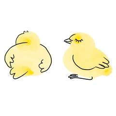 Yellow chickens. Watercolor painting. Handmade watercolor illustration.