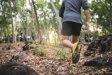 Outdoor trail running in early sunrise concept for exercising, fitness and healthy lifestyle. Young...