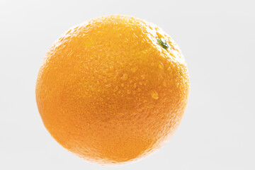 Freshly picked navel oranges