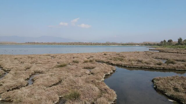 Video image of Çakalburnu Lagoon and Flamingos in İzmir