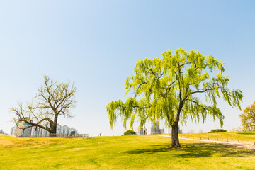 올림픽공원 봄풍경
