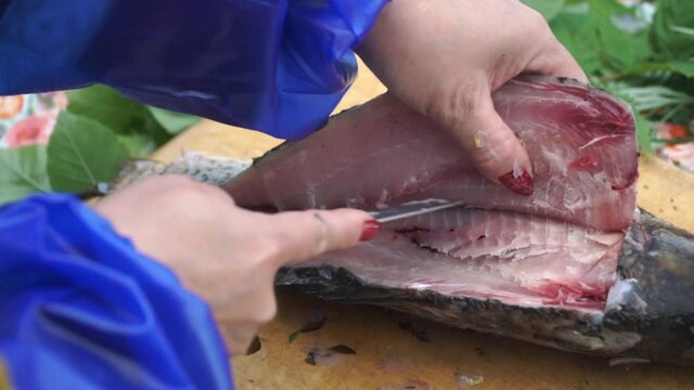 Woman cleans river fish on shore