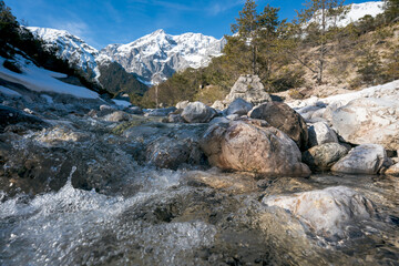 Clear splashing mountain river flowing over rocks through evergreen forest, Mieminger Plateau, Tirol, Austria