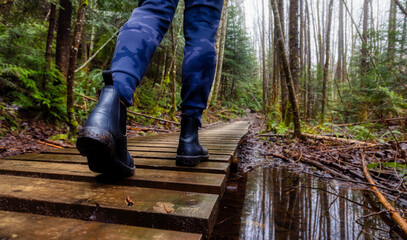 Obraz premium Girl Walking on a Mystical Trail in Rain Forest during a foggy and rainy Winter Season. Woods in Squamish, North of Vancouver, British Columbia, Canada. Low Angle Panorama