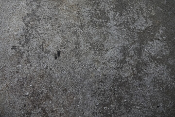Background with cement or concrete texture of gray color