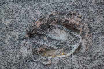 huellas de dinosaurios