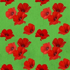 Hand drawn illustrations red poppy on green background design for seamless pattern 