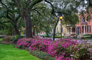 Fototapeten Azalee Street lights in the early morning Spring Azalea in bloom at historic Savannah Forsyth park - Georgia  © Craig Zerbe