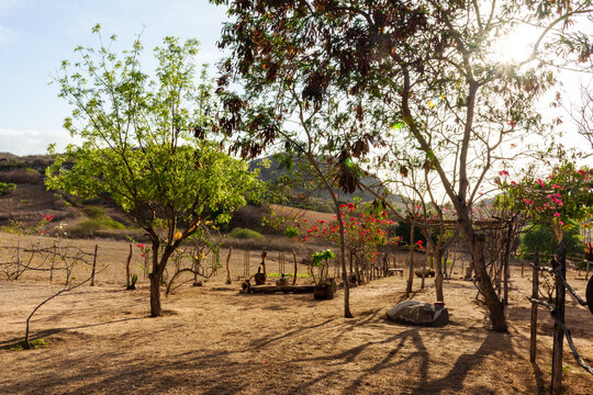 Pacata Images – Browse 14 Stock Photos, Vectors, and Video | Adobe Stock