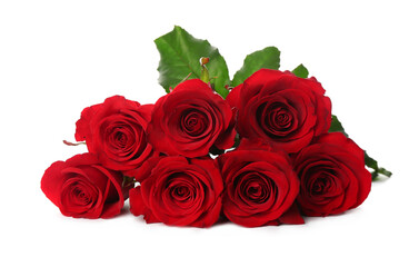 Beautiful red roses on white background. St. Valentine's day celebration