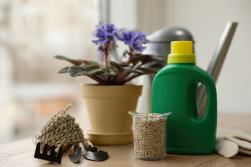 Senpolia in pot and different house plant fertilizers with gardening tools on wooden windowsill indoors