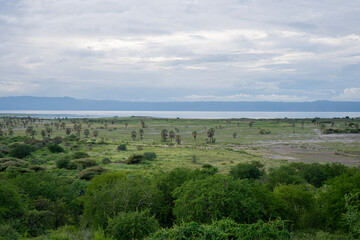 Fototapeta na wymiar Landscape, Eyasi Lake, Tanzania Africa
