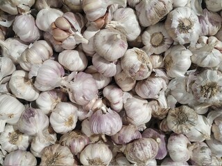 Pile of garlic with peel to prepare different dishes