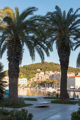 Fototapeta na wymiar Croatia, Split. Riva palm trees frame Marjan Hill, Fisherman's Port and Veli Varos.