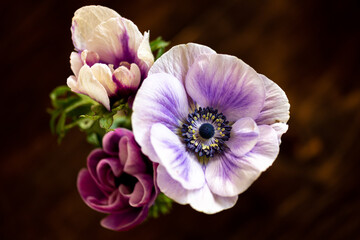 Obraz na płótnie Canvas purple and white flowers
