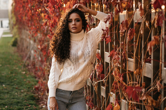 a curly brunette in jeans stands leaning against a wooden wall of entwined red ivy. High quality photo