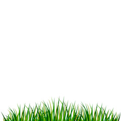 Obraz premium Green grass. Nature landscape. Vector nature graphic background. Silhouette vector. Vector drawing. Stock image. EPS 10.