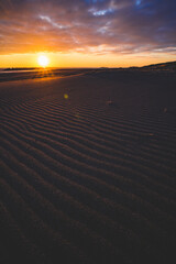 中田島砂丘に作られた風紋