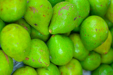 green avocados on the market