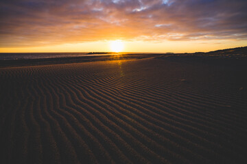 Fototapeta premium 中田島砂丘に作られた風紋