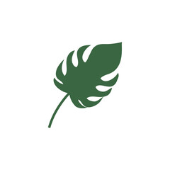 Monstera leaf logo vector design