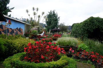 Fototapeta premium garden with flowers and trees