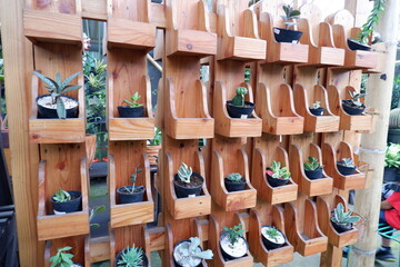 Fototapeta premium PLANTS 