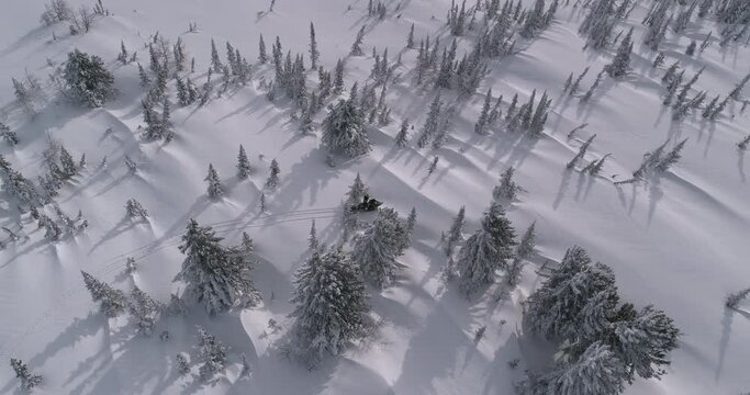 Aerial: riding a mountain snowmobile after a snowstorm. beautiful snow-covered fields with Christmas trees and three-dimensional light and sports riding of a snowmobile with aerial video. Prores 422