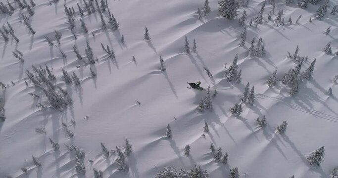 Aerial: riding a mountain snowmobile after a snowstorm. beautiful snow-covered fields with Christmas trees and three-dimensional light and sports riding of a snowmobile with aerial video. Prores 422