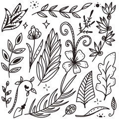 Hand drawn doodle in black line floral and branches of leaves vector set