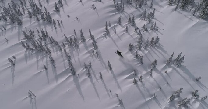 Aerial: riding a mountain snowmobile after a snowstorm. beautiful snow-covered fields with Christmas trees and three-dimensional light and sports riding of a snowmobile with aerial video. Prores 422