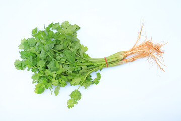 Coriander bunch isolated over white background. Top view