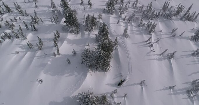 Aerial: riding a mountain snowmobile after a snowstorm. beautiful snow-covered fields with Christmas trees and three-dimensional light and sports riding of a snowmobile with aerial video. Prores 422