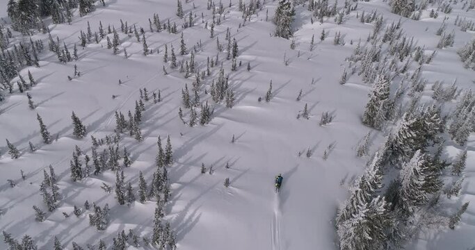 Aerial: riding a mountain snowmobile after a snowstorm. beautiful snow-covered fields with Christmas trees and three-dimensional light and sports riding of a snowmobile with aerial video. Prores 422