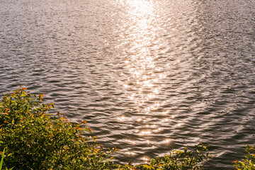 광교호수공원 풍경
