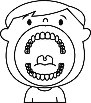 134 Best 小臼歯 Images Stock Photos Vectors Adobe Stock