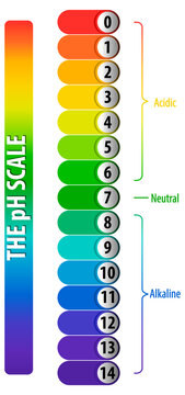 A pH scale on white background