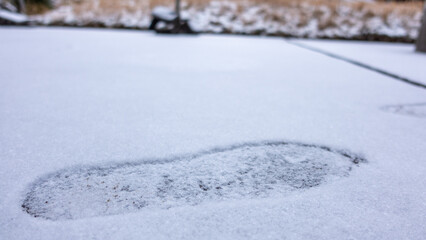 冬の積雪の足跡