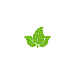 Green leaf ecology nature element vector icon, Leaf Icon, green leaf ecology nature element vector