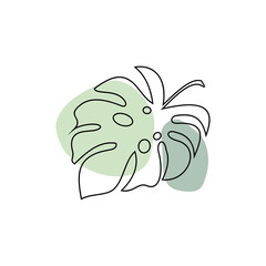 Monstera leaves linear icon. Tropical forest vines. Swiss cheese plant. © MaghfirohBagus