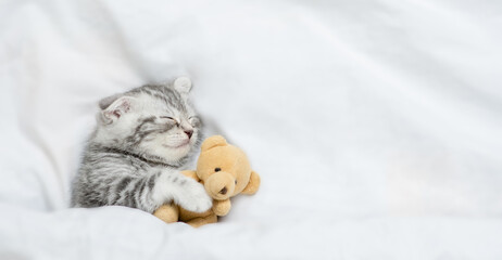 Cute kitten sleeps under warm white blanket on a bed at home and hugs favorite toy bear. Top down...