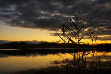 Beautiful sunset on the lake shore